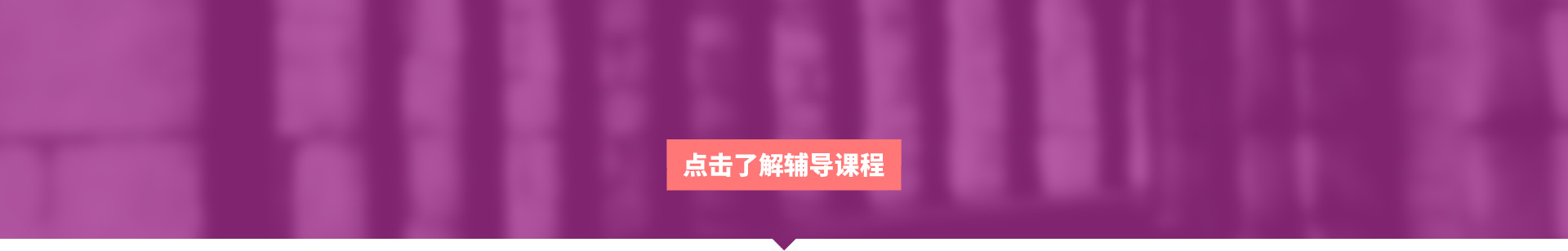 我们的专业课辅助优势